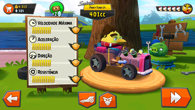 Angry Birds Senna