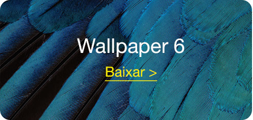 wallpapers_iOS9_BDI_6