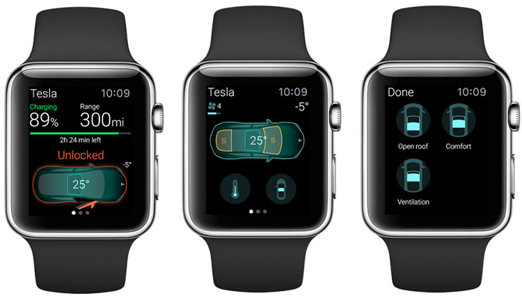 Tesla Apple Watch