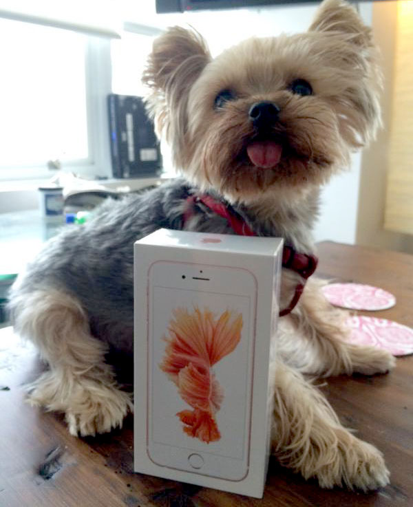 iPhone 6s rosé