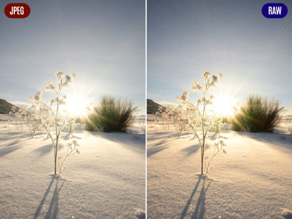 Comparison between JPEG and RAW photo