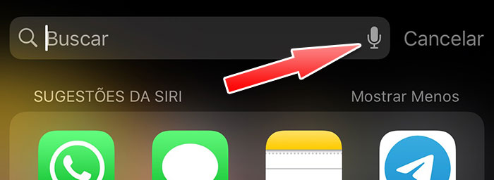 iOS 13 Ditado na busca