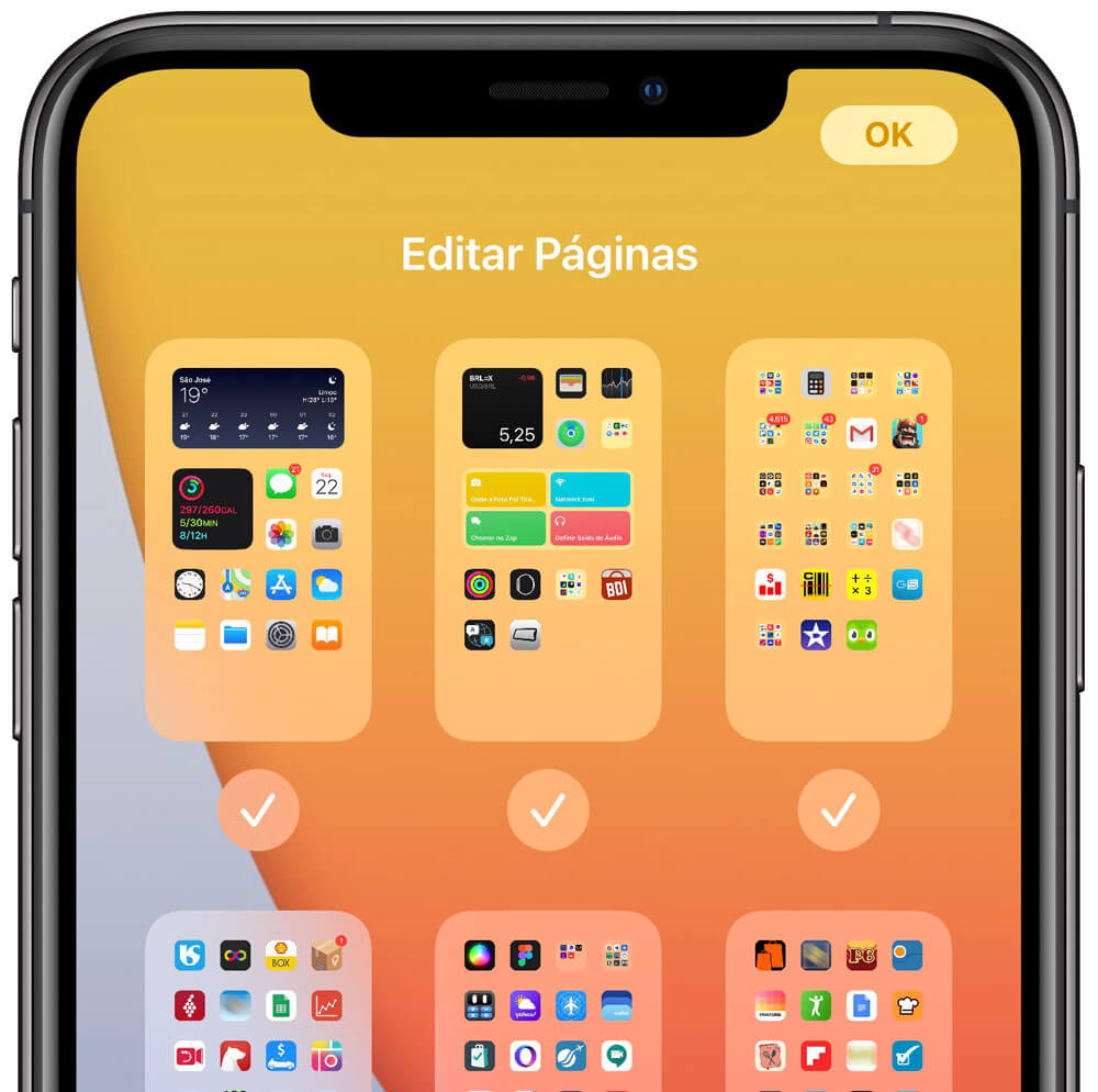 iOS 14 Editar Páginas