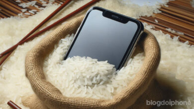 iPhone no arroz