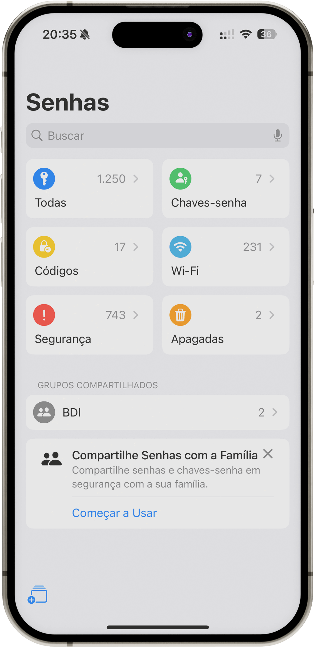 interface do app Senhas do iOS 18