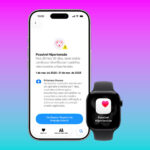 notificações de hipertensão