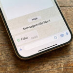 WhatsApp visualizacao unica