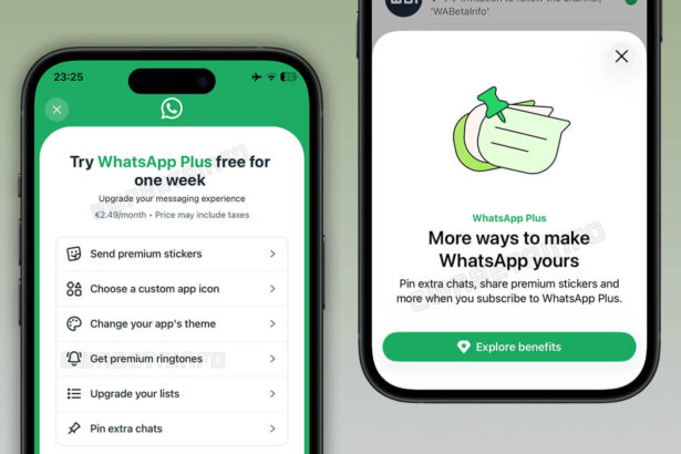 WhatsApp Plus