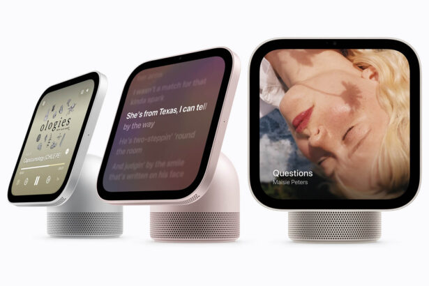 Apple HomeView